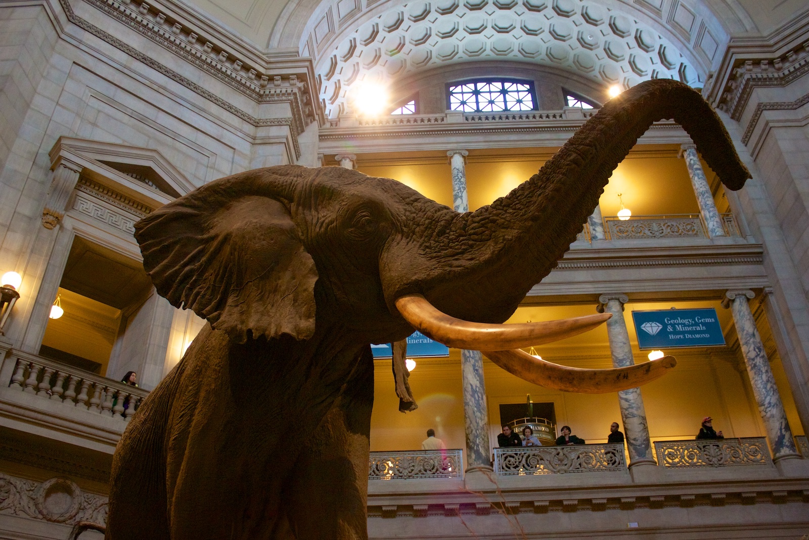 Imax Movies At Museum Of Natural History Imax Movies At Museum Of Natural History