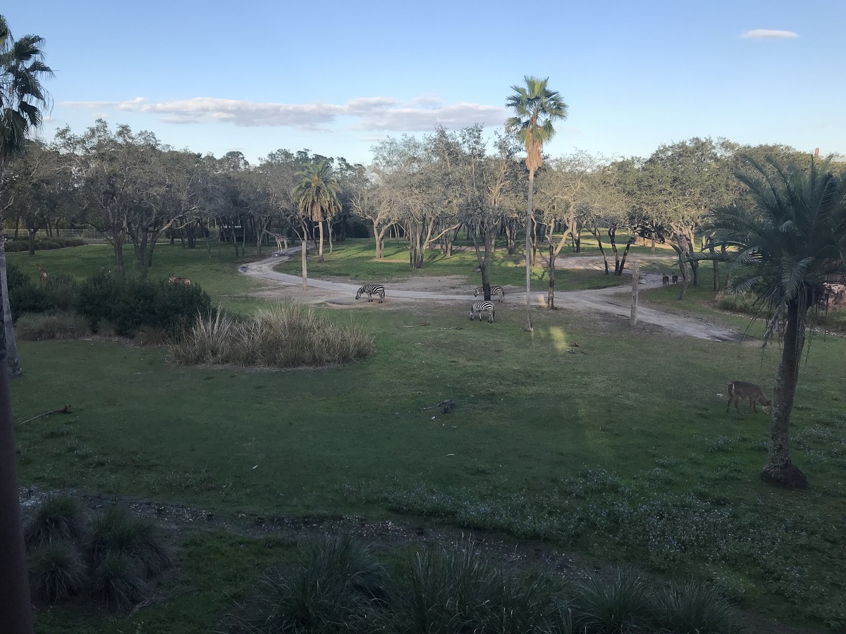 Room View Photo