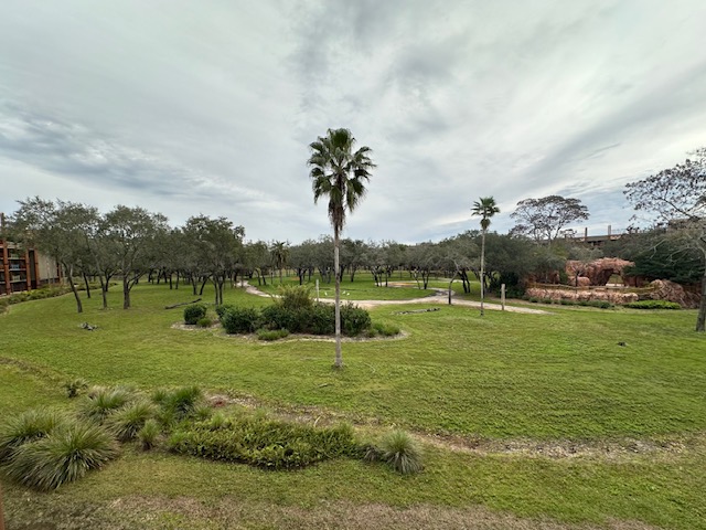 Room View Photo
