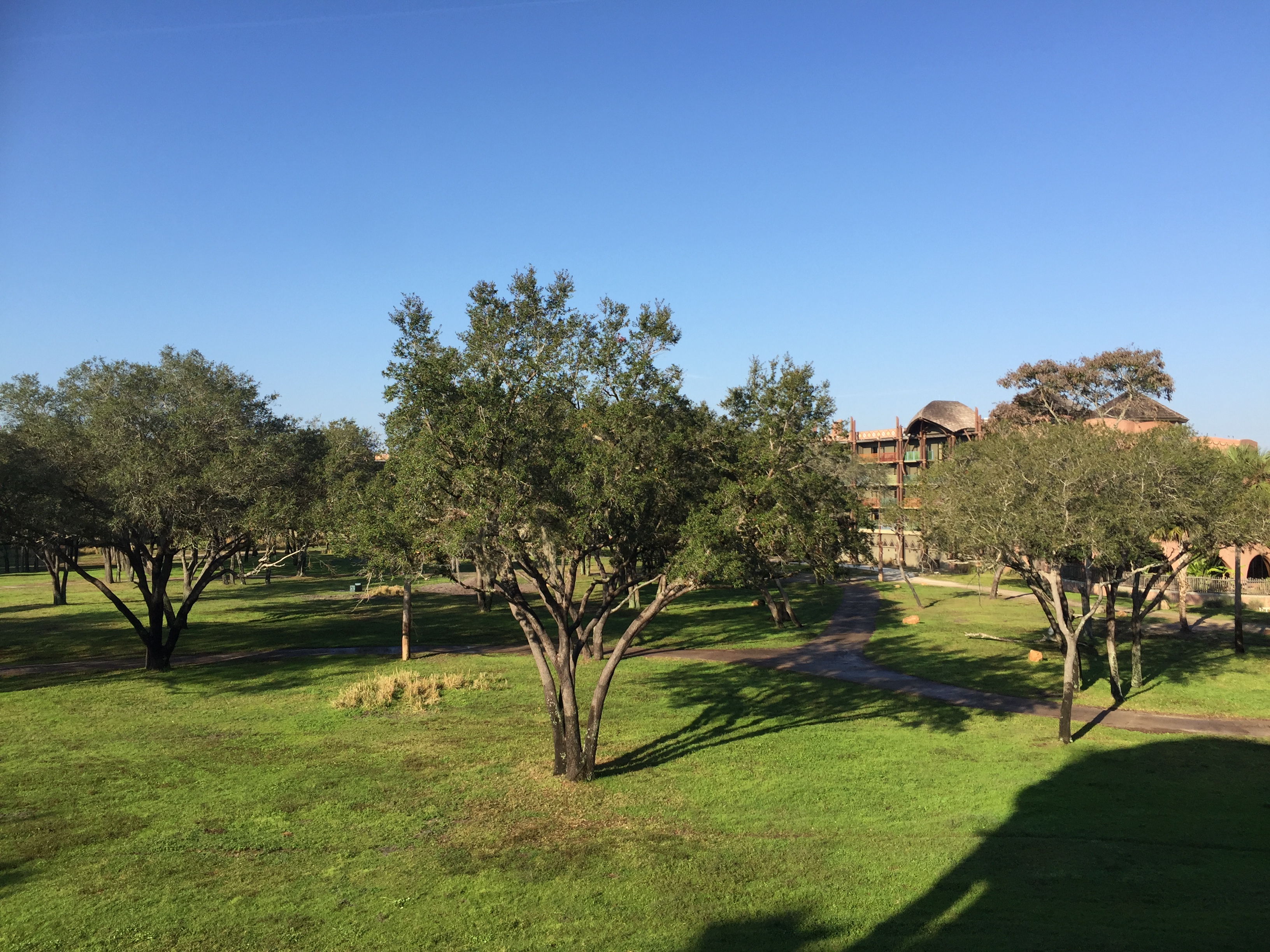 Room View Photo