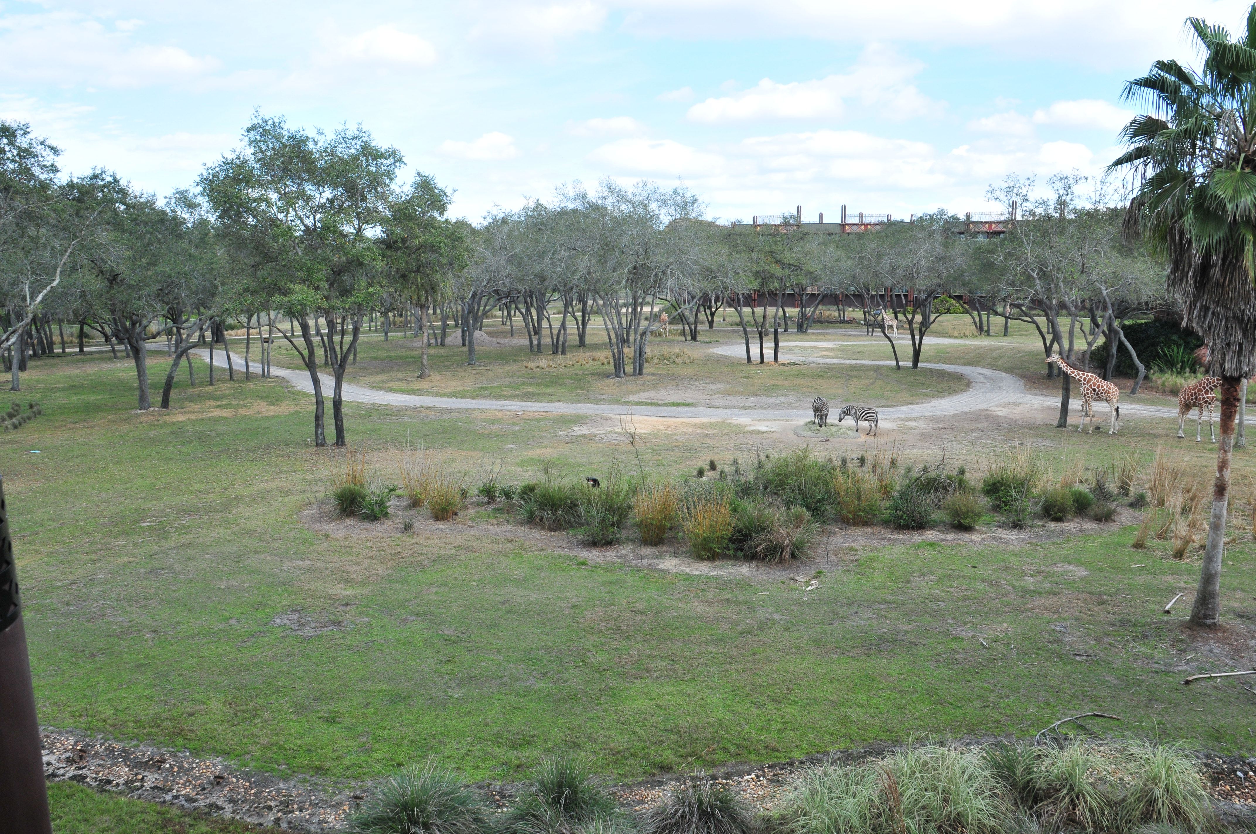 Room View Photo