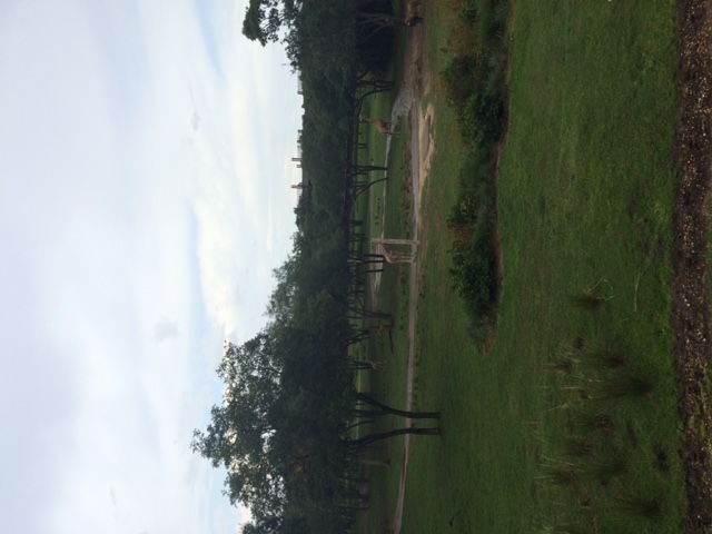 Room View Photo