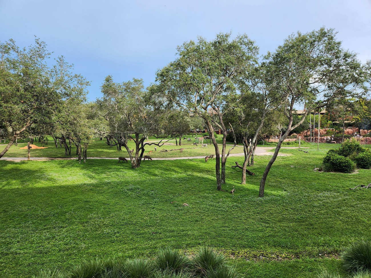 Room View Photo