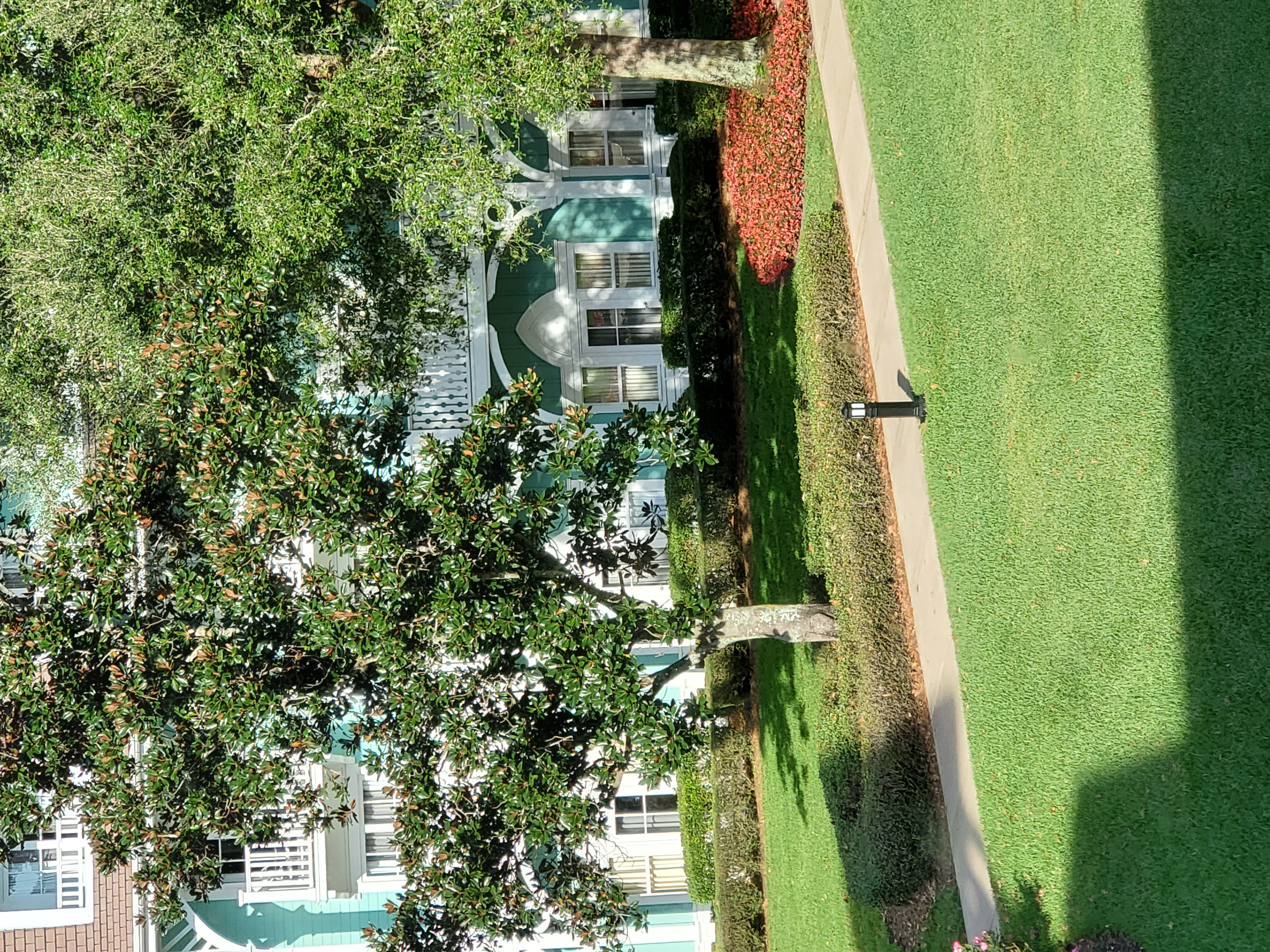 Room View Photo