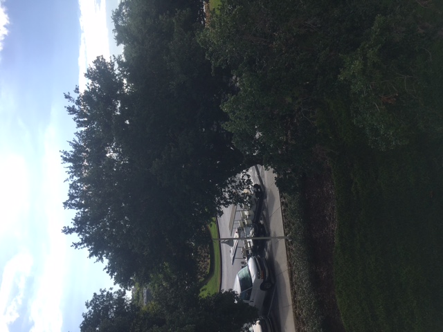 Room View Photo