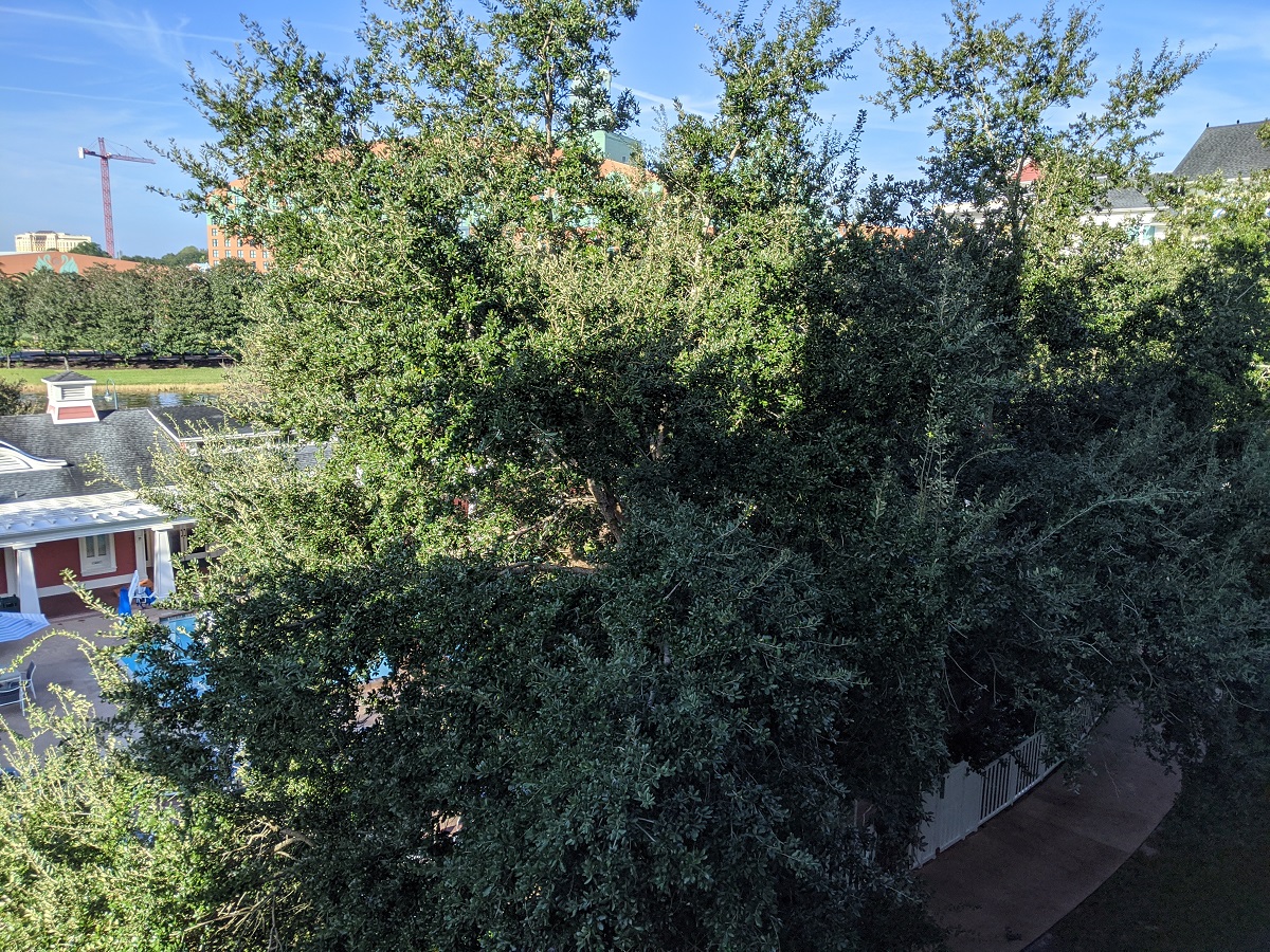 Room View Photo