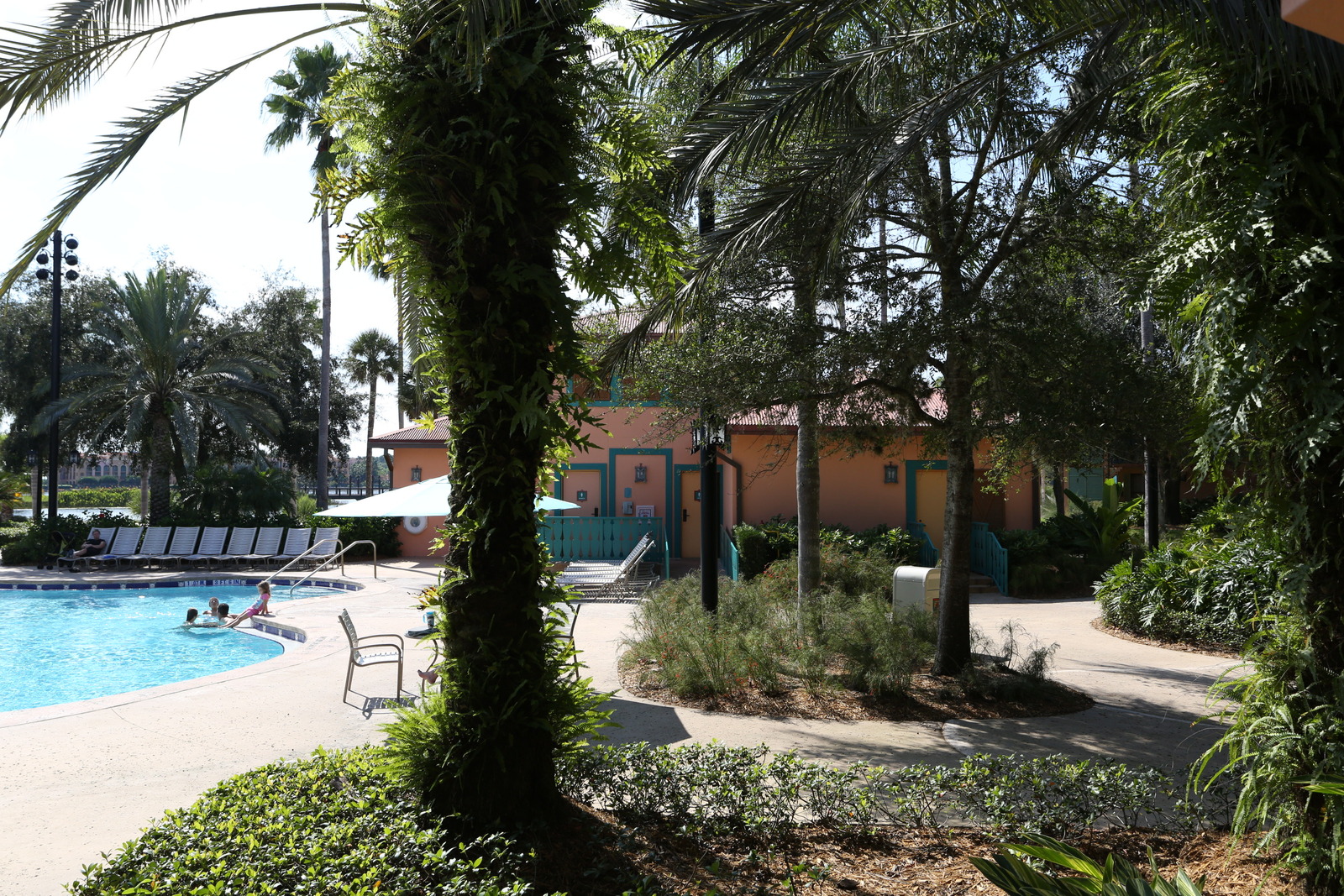 Room View Photo