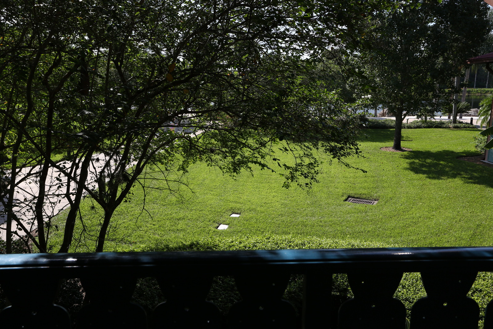 Room View Photo