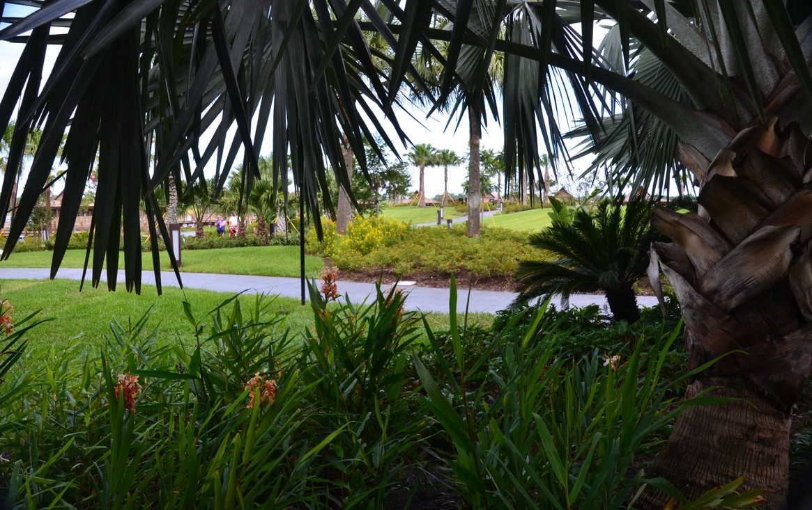 Room View Photo