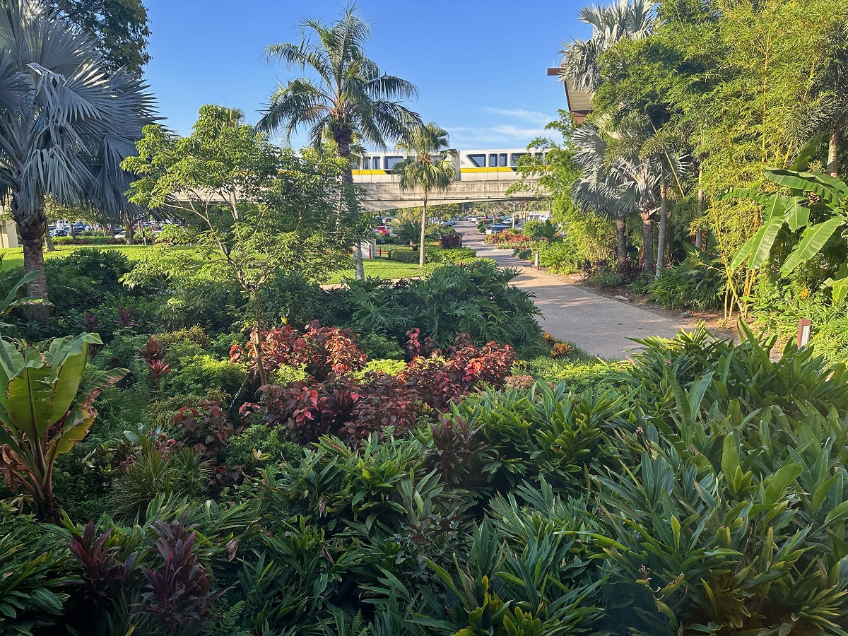 Room View Photo