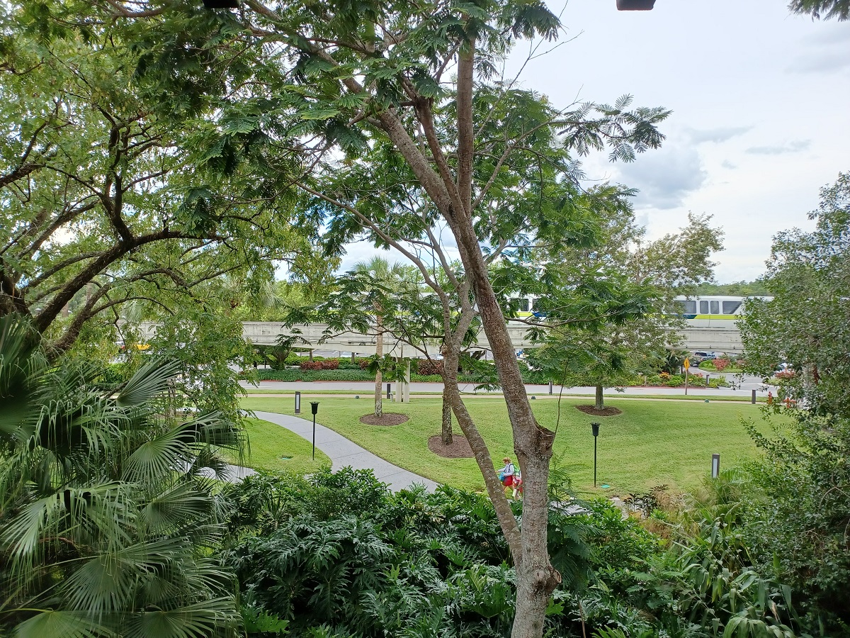 Room View Photo
