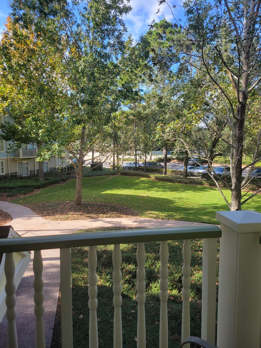 Room View Photo