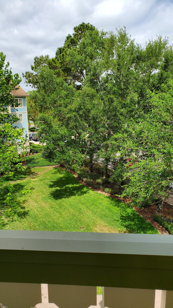 Room View Photo