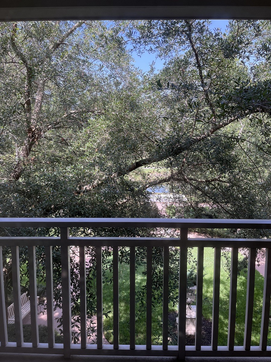 Room 7323 at Disney's Saratoga Springs Resort & Spa