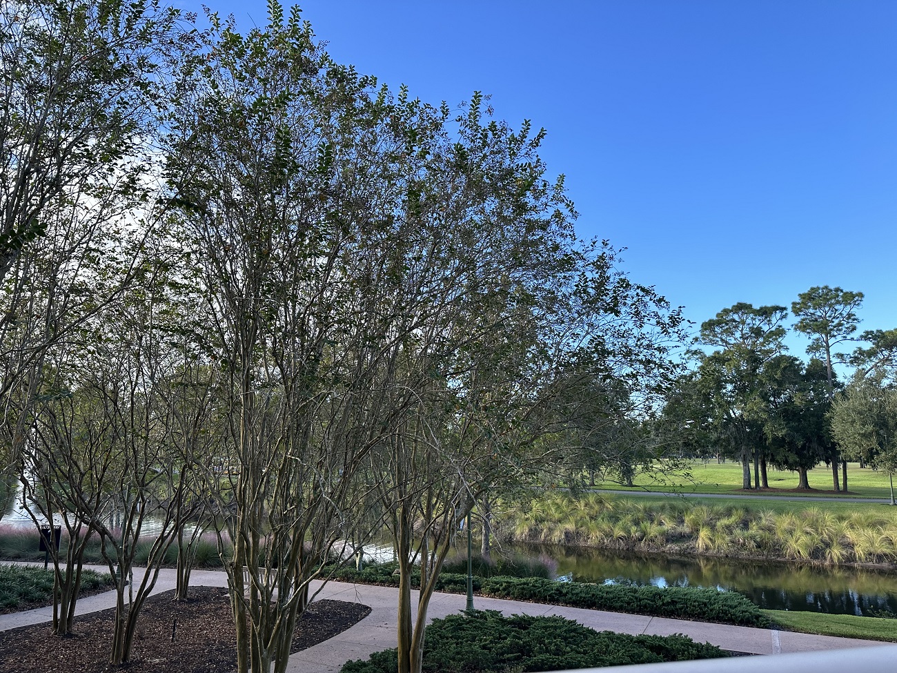 Room View Photo