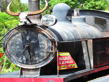 Wildlife Train: Conservation
