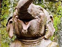 Jungle Cruise